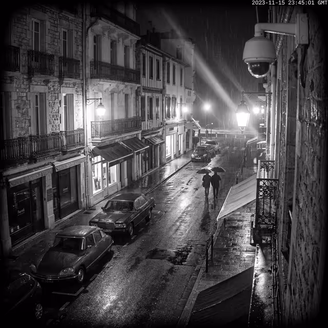 Surveillance & Filature